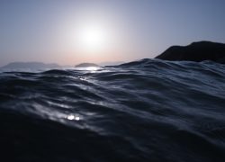 The Scent of Water