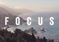 FOCUS on Laity