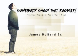Somebody Shoot That Rooster! 2.ppsermonpic