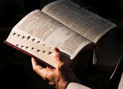 What Next? ordination