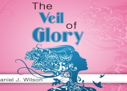 Veil of Glory tvog