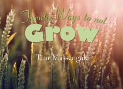 Twenty Ways To Not Grow 20 ways to not grow