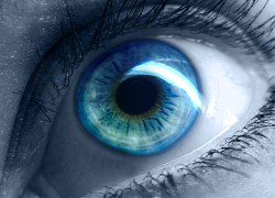 The Window of the Soul 6.leftarticlefeatoct