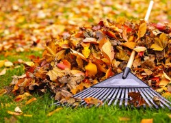 Youth Evangelism: Rake and Bake 6.featuredimage