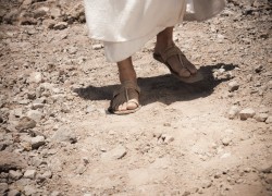 Bible Doctrine 1,9 The Perfect Humanity of Jesus Christ 1.bcfeaturedimage