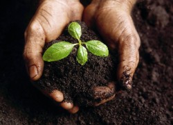 Growing is Great 6.leftarticlefeat