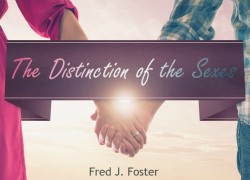 The Distinction of the Sexes 4. featuredpic