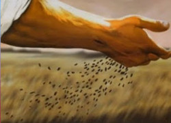 Introduction to the Bible: Parables, Types and Figures of Speech 1.bcfeaturedimage