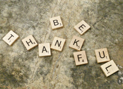 Seasons of Thanksgiving 3.leftarticlefeat