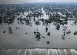 One Year After Katrina (Newsletter 2-4 Blog) 2.leftarticlefeat