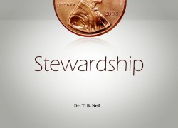 Stewardship 2. featuredpic