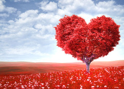 Human Love in Action – Evangelism (Newsletter 2-5 Blog) 8.leftarticlefeat