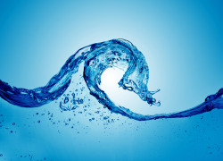 The Necessity of Flow (Newsletter 2-6 Blog) 1.leftarticlefeat