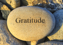 The Attitude of Gratitude (Newsletter 2-7 Blog) 8.leftarticlefeat