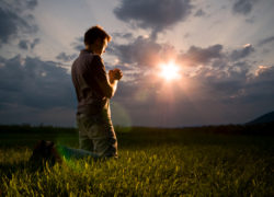 The Assimilation Process (Newsletter 2-9 Article) 4-featuredimage