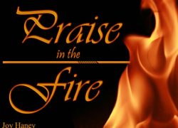 Praise In The Fire 6-featuredpic
