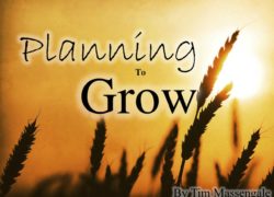 Planning To Grow (Entire Article) 2. featuredpic