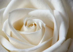 11 Ways for a Man to Keep Himself Pure (Newsletter 2-11 Article) 5.featuredimage