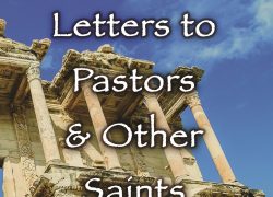 7 Churches of Revelation (Newsletter 3-4) Front Cover cropped dpi