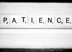 Patience is a Virtue (Newsletter 2-12 Blog) 1.leftarticlefeat