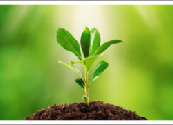 44 Church Growth Principles That are Real and Work! (Newsletter 2-12 Article) 5.featuredimage
