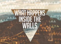 What Happens Inside the Walls (Entire Article) 3.featuredpic