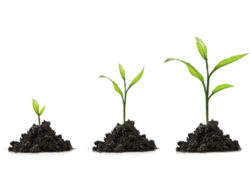 Why I Am Against Growing Churches (Newsletter 2-12 Blog) 7.leftarticlefeat
