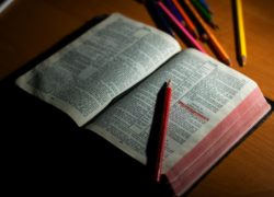 Fundamentals (Newsletter 3-1 Blog) 2.leftarticlefeat
