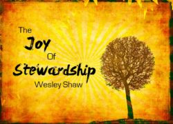 The Joy Of Stewardship (Entire Article) 3.featuredpic