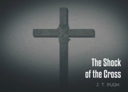 The Shock of the Cross 6.featuredpic
