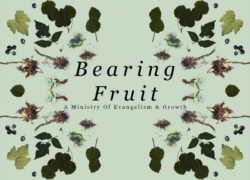 Bearing Fruit: A Ministry Of Evangelism & Growth 2.featuredpic