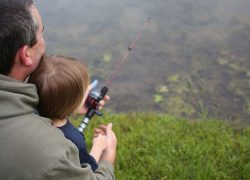 Making a Difference (Newsletter 3-5) father-provoke-1052x477