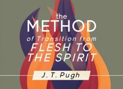 The Method of Transition from Flesh to the Spirit (Entire Article) 1.featuredpic
