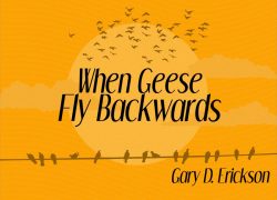 When Geese Fly Backwards 3.featurepic