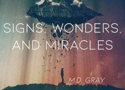 Signs, Wonders, and Miracles 6.featuredpic