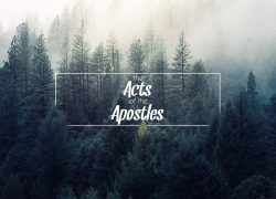 The Acts of the Apostles – Lesson One (Newsletter 4-6) Acts 1-1