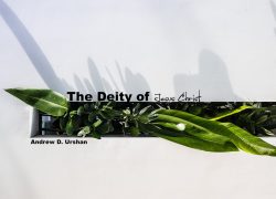 The Diety of Jesus Christ 4.featuredpic