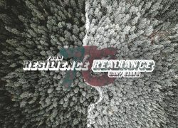 From Resilience to Reliance 29-10 From Resilience to Realiance