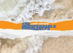 The Indispensable Ordinances 29-10 The Indispensible Ordinances