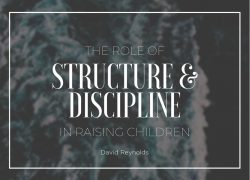 Issue 30-3 – Apostolic Books – The Role of Structure and Discipline in Raising Children The Role of Structure & Discipline